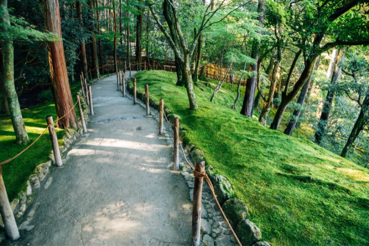 Ginkaku-ji, Kyoto, forest garden
