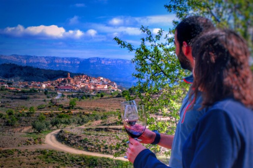 Wine tasting and landscape view in Priorat