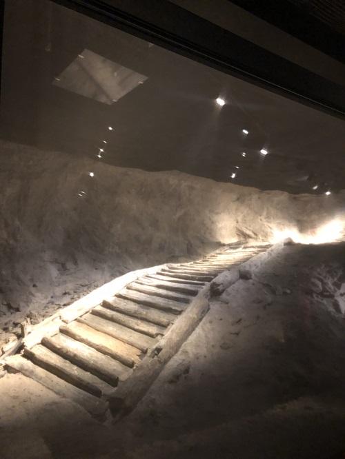 Oldest staircase in Europe Hallstatt Salt Mine