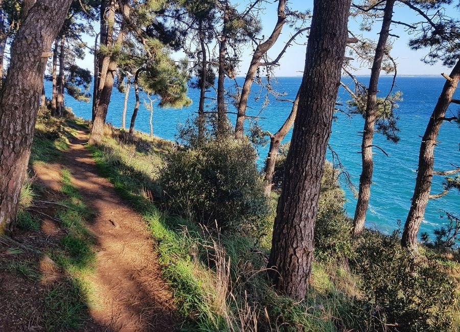 Coastal hiking path near Fort la Latte, Brittany, France